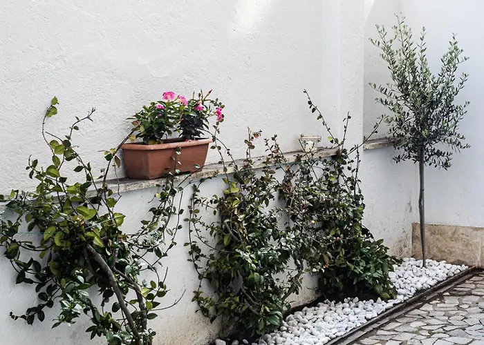 Apartament Flaminio * * * * * - Loft Con Giardino *